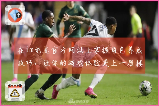 在im电竞官方网站上掌握角色养成技巧，让你的游戏体验更上一层楼